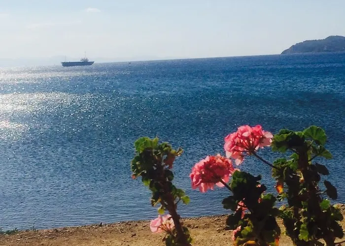 Assos Bahcivan Restaurant * Балабанлы